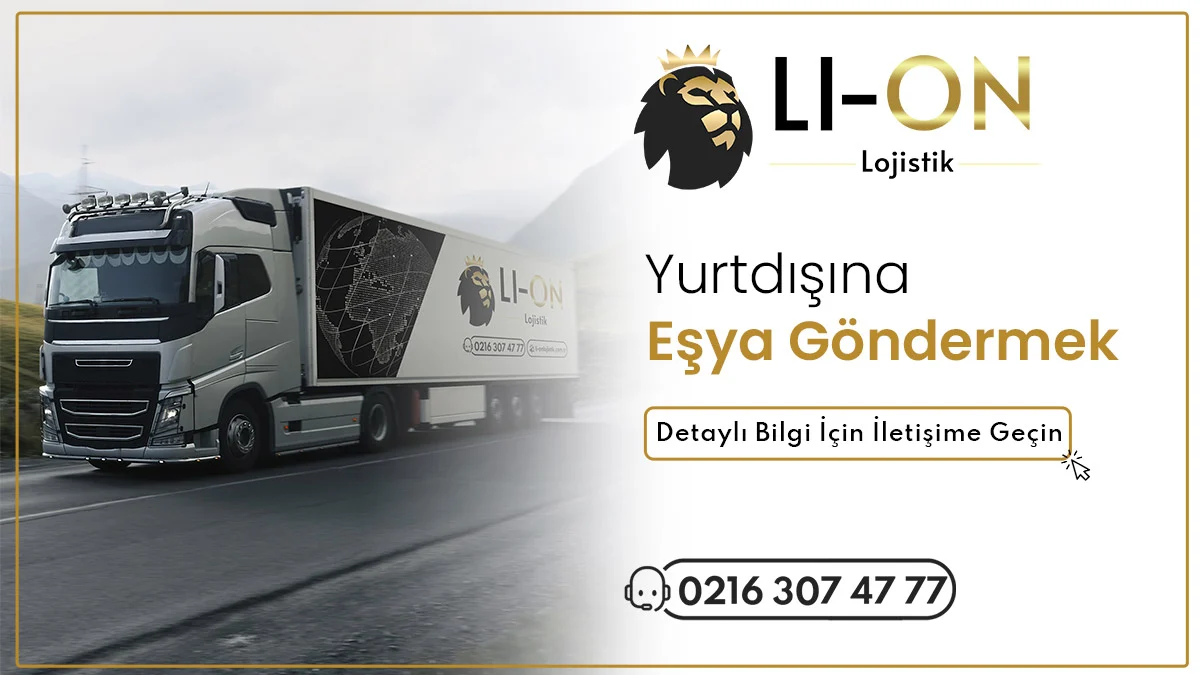 Li-On Lojistik Yurtdışına Eşya Göndermek görseli